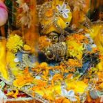 Tamanna Vyas Instagram - Sri Krishna Janamastami ki Subhkamnaye 🙏🏻 Happy birthday kanha 🫶🏻 Jai Sri Krishna 🌸 #krishna #janamashtami #radheradhe #harekrishna