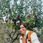 Tamanna Vyas Instagram - This is the apple-iest day of my life! 🍎 🍎 😋 #apple #appleorchards #applepicking #appletree #manali #travelgram #tamanna #tamannavyas Manali, Himachal Pradesh