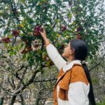 Tamanna Vyas Instagram - This is the apple-iest day of my life! 🍎 🍎 😋 #apple #appleorchards #applepicking #appletree #manali #travelgram #tamanna #tamannavyas Manali, Himachal Pradesh