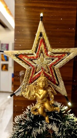 Tassnim Sheikh Instagram - My xmas 🎄 🎅❄️✨️🪄💃 #reelsinstagram #xmasreel #reelsvideo #reelsvideo #instagramreels #instareel #xmastree