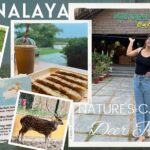 Tiyasha Lepcha Instagram – A Must place to visit in Kolkata | HARINALAYA | Nature’s Cafe | New Vlog 

Click on the below link now & Subscribe to my channel – https://youtu.be/azy8lkpKh9I