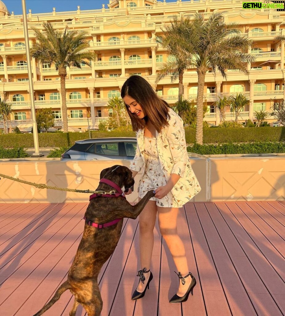 Tunisha Sharma Instagram - What’s up dog?🐾🤎