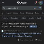 Urfi Javed Instagram - I’m I the only Urfi living up to the name ? Where my other urfis at