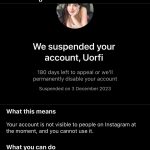 Urfi Javed Instagram - How my 2023 looked liked 🪄 My account is facing major glitches , got dectivated theice in a week , my account status shows error and other professional dashboards shows error , everyday I get a notification that my post has violated guidelines and then again it’ll be reposted again , ( I receive the same notification for the same post everyday again and again ). Every time I post something the number of followers will go down significantly then increase again c then again go down . It’s like a roller coaster (this account ) Idk what to feel and how to react 🤷🏻‍♀️ @metaindia