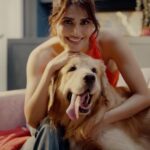 Vaani Kapoor Instagram - When dinner is so paw-some, you forget you’re on a date 🫣 🐾 Aaryan’s only got eyes for his one true love- Drools Daily Nutrition! Made with the goodness of 100% Real Chicken & Egg, it keeps him DROOLing for more 🐶 #droolsindia #dogs #date