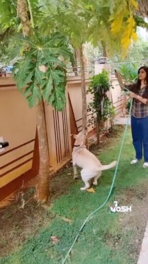 Veena Jagtap Instagram - 💕 Peahu 💕
