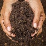 Vishnupriyaa bhimeneni Instagram - Soil degradation is real and we cannot stay blind to it anymore. We are what we eat and everything that sustains us comes from the soil. Let's support @sadhguru as he starts his epic bike ride across 27 countries to #SaveSoil. #ConsciousPlanet @consciousplanet #vishnupriyabhimeneni #conciousliving #ConsciousPlanet #sadhguru #savesoil #motherearth #Bhumi #mylove #Mypassion #tosavesoil
