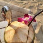 Vishnupriyaa bhimeneni Instagram – We slurped as many coconuts as possible… 😍 The Thai coconut water is the  sweeeeeeetesttt 😋😋😋😋🥰🥰🤩🤩🤩🤩🥥🥥🥥🥥🥥🥥🥥

Thankyou mother thai for sweetest coconuts 😆😝🥰🤗

#VISHNUPRIYABHIMENENI #rithuchowdary #Vacation#slurpingcoconuts #walkingonroads #beingjustbeverse #chillaxing #living #laughing #loving 💗 Thailand