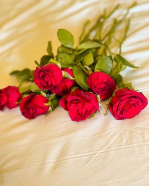 Vishnupriya sainath pathade patil Instagram - Ajji sunte ho 🗣️. Happy Rose Day 😘🌹 #saipriya  #vishaarmy #roseday #valentineweek