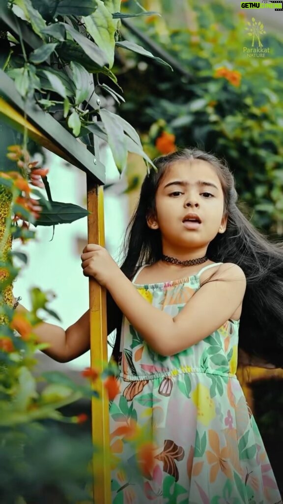 Vriddhi Vishal Instagram - Rosemilk vangi tharenda ❤ 🎥 @amal.nef Location @parakkatnatureresortmunnar @abhishek_parakkat_ @prakash_parakkat #vijay #samantha #tamil #reels #instagood #instagram #reelsinstagram #cinema #baby #artist #viral # @joshapp.malayalam @officialjoshapp Parakkat Nature Resorts