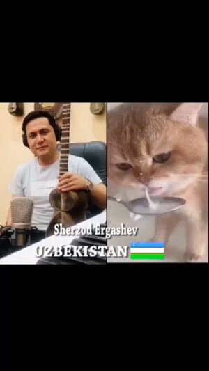 Abdel Aziz El Sayegh Instagram - مو صج القطو شنو سوى فنان
❤️😍