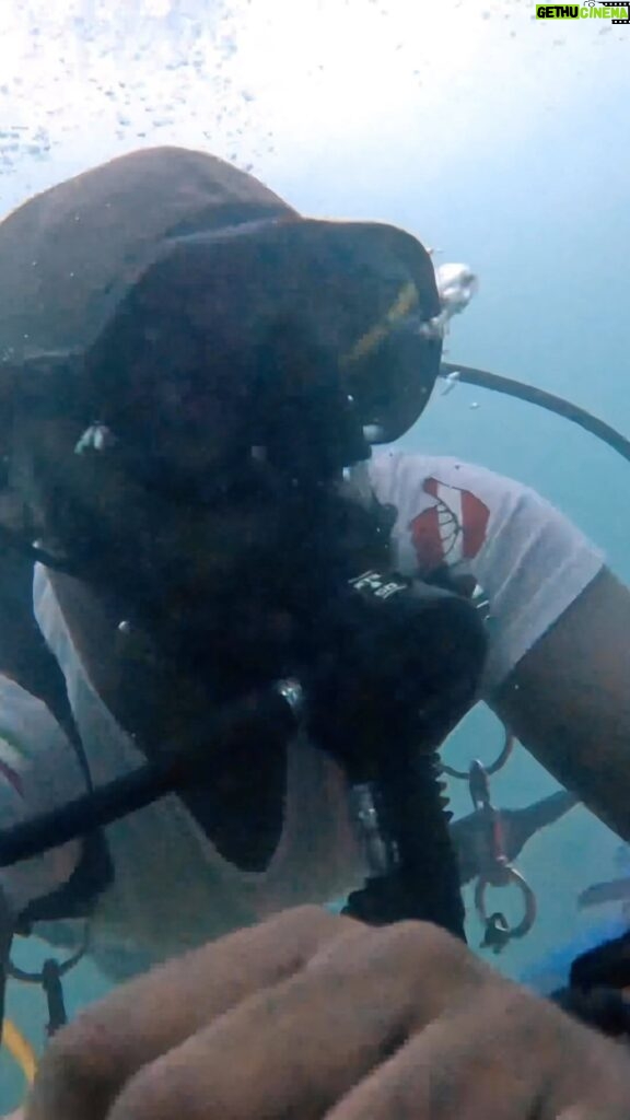 Abdel Aziz El Sayegh Instagram - Diving with the JOUD 🩵Taken by @gopro try this @t.albinali @thedirctor ‎‏#dive ‎‏#scubadive ‎‏#padi ‎‏#scubadiving ‎‏#diving ‎‏#kuwait ‎‏#gopro ‎‏#travel ‎‏#apex ‎‏#sidemount ‎‏#underwaterphotography