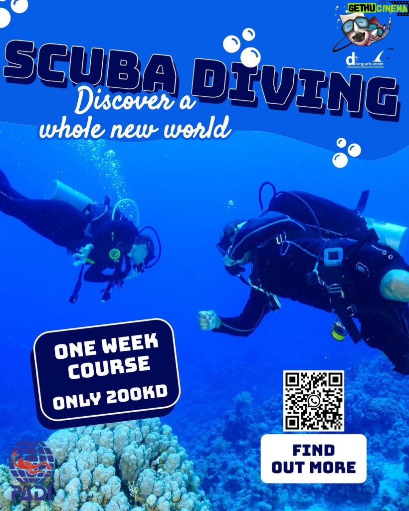 Abdel Aziz El Sayegh Instagram - @diving_arts_center Try scuba diving trips Fun dive trips Snorkelling trips Diving courses Swimming training From 9 years for diving Private courses 200kd for courses 35kd fun dive trips 55kd try scuba diving DM for more details رحلات تجربة الغوص رحلات غوص ترفيهي رحلات سنوركل دورات غوص تدريب سباحه اقل عمر للغوص ٩سنوات جميع الدورات برايڤت يوجد مدربات قيمة الدورة 200دك قيمة الرحلة مع ليسن غوص 35 دك قيمة تجربة الغوص 55دك دايركت مسج للمزيد من الاستفسار 69966680