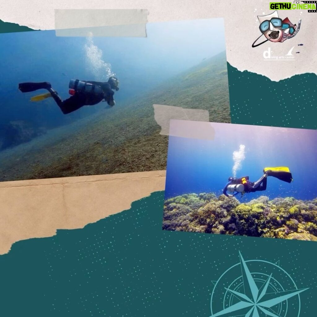 Abdel Aziz El Sayegh Instagram - @diving_arts_center Try scuba diving trips Fun dive trips Snorkelling trips Diving courses Swimming training From 9 years for diving Private courses 200kd for courses 35kd fun dive trips 55kd try scuba diving DM for more details رحلات تجربة الغوص رحلات غوص ترفيهي رحلات سنوركل دورات غوص تدريب سباحه اقل عمر للغوص ٩سنوات جميع الدورات برايڤت يوجد مدربات قيمة الدورة 200دك قيمة الرحلة مع ليسن غوص 35 دك قيمة تجربة الغوص 55دك دايركت مسج للمزيد من الاستفسار 69966680