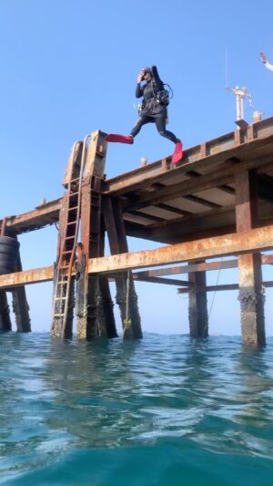Abdel Aziz El Sayegh Instagram - تحيا فلسطين 🇵🇸 
اما بعد ..
The real big step .. bravo 👏🏽
@diving_arts_center 
U wana try it !? 
تبي تجرب !؟

@diving_arts_center 
Try scuba diving trips 
Fun dive trips 
Snorkelling trips 
Diving courses 
Swimming training 
From 9 years for diving 
Private courses 
200kd for courses 
35kd fun dive trips
55kd try scuba diving 
DM for more details 
رحلات تجربة الغوص 
غوص ترفيهي 
رحلات سنوركل 
دورات غوص 
تدريب سباحه 
اقل عمر للغوص ٩سنوات 
جميع الدورات برايڤت 
يوجد مدربات 
قيمة الدورة 200دك
قيمة الرحلة مع ليسن غوص 35 دك
قيمة تجربة الغوص 55دك
دايركت مسج للمزيد من الاستفسار
69966680