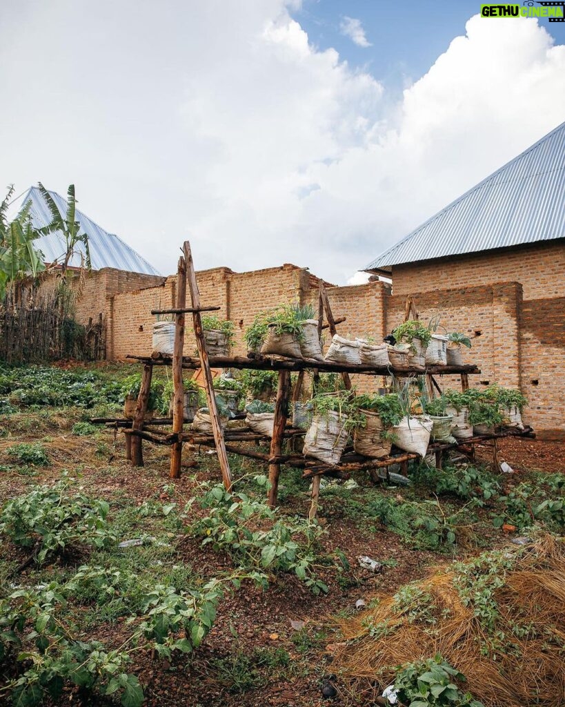 Adam Liaw Instagram - As one of the most densely populated countries in the world, and which is largely covered by mountains, and relying largely on subsistence farming, agricultural land in Burundi is scarce. This vertical vegetable garden is part of @UNICEFAustralia’s Createable project. It’s an absolutely incredible project that has exceed all of our expectations. Createable teaches schoolchildren practical skills like vertical multi-season farming, and how to build and operate highly efficient rocket stoves. The students here at Lycée Muruta in Burundi’s Muyinga Province learn about these projects, as well as things like fertiliser production and solar distillation. One thing that is clearly apparent to me on the ground here in Burundi is how systemic poverty is a multidimensional problem, and how the solutions we introduce to tackle multidimensional problems must be multidimensional themselves. Createable is a fabulous example of that. It’s not just about growing vegetables or reducing the need for firewood - it increases access to food, increases yields, decreases malnutrition, reduces the need to rent land, reduces household costs, generates income (through the sale of surplus vegetables), and keeps children in school longer by teaching practical rather than purely theoretical skills.