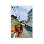 Akari Takaishi Instagram - NHK夜ドラ 「わたしの一番最悪なともだち」 本日、最終回でした！ 8週に渡り、笠松ほたる、鍵谷美晴、そしてこの作品を応援していただきありがとうございました🕊️ またいつか ”次のカニ日和”に！ #イチとも #わたしの一番最悪なともだち