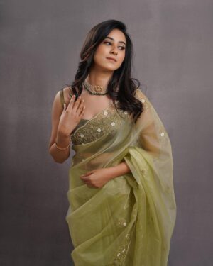 Akshaya hariharan Instagram - Every saree has a story ✨  Team - @ange.in @dxgphotographer @reenapaiva @venki_hairstylist