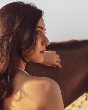 Akshaya hariharan Instagram - Lakshmi🐎 A poetry  Retouch - @dhesanthree  Disclaimer (No animals were harmed in the making)