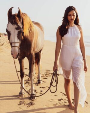Akshaya hariharan Instagram - Lakshmi🐎 A poetry  Retouch - @dhesanthree  Disclaimer (No animals were harmed in the making)
