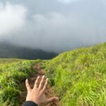 Akshaya hariharan Instagram – My first trek dump⛰️ Chembra Peak
