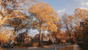 Alejandro Hernández Instagram - Ir a Queens es un viaje para mí, pero cada otoño vale la pena ir a uno de mis vecindarios favoritos. Cero ruido, cero estrés, sólo una ardilla pasando por tu camino de vez en cuando.
