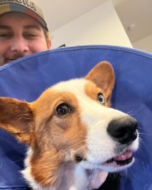 Alejandro Saab Instagram - Update on Ryuji: Been stressed about this boy all week, but his surgery went well and I’m really thankful for that ❤️