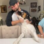 Alejandro Saab Instagram - I Met my aunts dog yesterday. Her name Nova 🥹