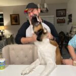 Alejandro Saab Instagram - I Met my aunts dog yesterday. Her name Nova 🥹