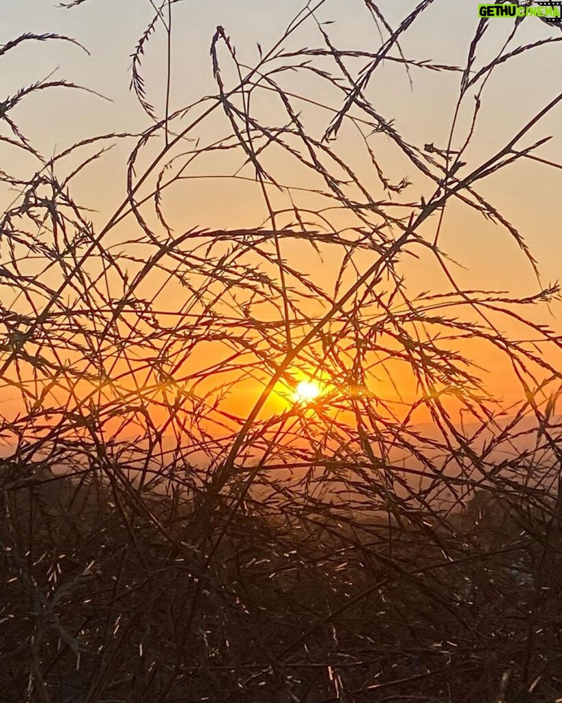 Alex Bullon Instagram - #chasingsunsets #LA 🇺🇸🌄🌼 Fryman Canyon Hiking Trail