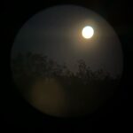Alexandra Daddario Instagram - Go look at the moon!
