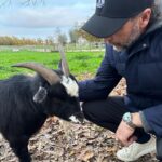 Alexandra Daddario Instagram - 🐴 🐐 🐕