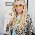 Alexia Fast Instagram - So excited to be in #familylawglobaltv season 2! I’m playing “Teza” a social media mogul. Guess who’s gonna be in the show with me? My dog Shiro! @familylaw_global
