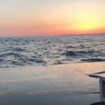 Alican YÃ¼cesoy Instagram -