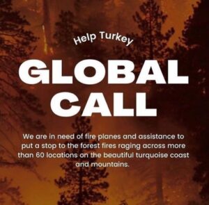 Alican Yücesoy Instagram - 🚨I am calling all the countries who can help us. We are perished and devastated with the total 112 fires. The ones that we can’t stop are still going so strong. We dont have enough fire fighting planes to stop it. We lost 8 people, so many animals and our forests.

#helpturkey