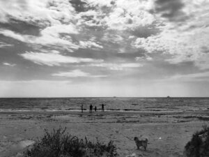 Alican Yücesoy Instagram - 