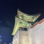 Alice Lee Instagram - Coming back to the Motherland has made my heart and soul sooooo full. Love and abundance overflowing!!! It’s almost inexplicable. It has been just the best. I’ve been lucky enough to visit Korea many times in my life, but returning to where my ancestors are from, at this point in my life, has been everything and more. This time, I really felt like I was coming home. I’m so proud to be Korean. I’m so grateful to have Korean culture embedded in me, to have the Korean language flow through my tongue, to have a bond with my extended family that is eternal and strong. I love being from the States, but there is something so refreshing and heartwarming about being surrounded by people who look like you, eat like you, and talk like you, especially after so much social conditioning that tells you you’re a “minority” when you live in any Western country. I am 100% American, but I am also 100% Korean. I’m so thankful to have two countries to call home. And even though I’m suuuper sad to leave Korea, I know that’s because it has been that incredible of an experience 🥲 Can’t wait to come back. ALSO LOOK AT MY COUSINS’ ADORABLE KIDS AKA MY NIECE AND NEPHEW WHEN WE HAD TO SAY GOODBYE 😭🥹🥹 MY HEART!!! #한국 #korea #광화문 #가족 #family #남이섬 #복 #blessings #천천히 #slowly #눈 #snow #조카 #niece #nephew #경북궁 #palace #korean #american #koreanamerican #culture South Korea