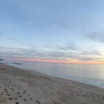 Alice Lee Instagram - W a v e s 💙 #happyholidays #nature #ocean #sunset #bird #soundon #calmingaf