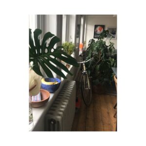 Alice Levine Instagram - UPDATE: We just found both our bikes on gumtree and mine is sold but one is still there. If you bought a cream bike today in Whitechapel please DM me! Will buy it from you and shower you in love and affection.

Weird Marley & Me style montage to say goodbye and thanks to the best bike in the world. Can’t believe someone stole it, even though it was inside my building. @jameskennedycb you made me such a lovely one which I just remembered I bought for myself as a birthday present (maybe about 6 years ago?!). It’s done me proud. I needed it to get to work so anyone who knows of any nice bike companies (preferably East or Central so I can walk there...violins) who are still operating and selling bikes please let me know. 💓 🚲 🚲 🚲