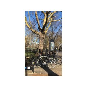 Alice Levine Instagram - UPDATE: We just found both our bikes on gumtree and mine is sold but one is still there. If you bought a cream bike today in Whitechapel please DM me! Will buy it from you and shower you in love and affection.

Weird Marley & Me style montage to say goodbye and thanks to the best bike in the world. Can’t believe someone stole it, even though it was inside my building. @jameskennedycb you made me such a lovely one which I just remembered I bought for myself as a birthday present (maybe about 6 years ago?!). It’s done me proud. I needed it to get to work so anyone who knows of any nice bike companies (preferably East or Central so I can walk there...violins) who are still operating and selling bikes please let me know. 💓 🚲 🚲 🚲