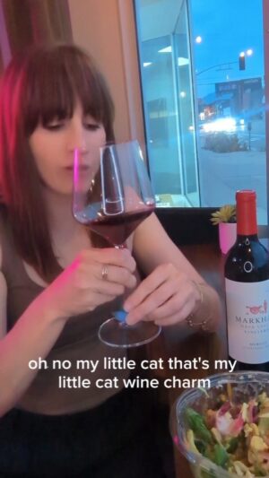 Alison Haislip Instagram - If you have yet to follow me over on TT (link in bio), I'm doing a fun little series called Take Out Tastings, where I pair awesome wines with your favorite take out meals. A lot of places I order from are local to LA, but this time I had @mendocinofarms so way more of you could enjoy this perfect duo! I paired their Not So Fried Chicken Salad with the @markham_vineyards Merlot and it was divine. And if you DO live in LA, you can pick up this bottle (and so many more!) at @curatedwinesla.

Give this combo a try and let me know what you think!

(Only if you're over 21 of course. 😉)

#wine #winepairing #mendocinofarms #merlot #takeout #takeouttasting #curatedwines #curatedwinesla #catwinecharm