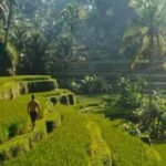 Alok Instagram - Ahhh Bali 😍😍 Bali, Indonesia
