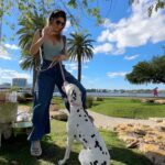 Amanda Cerny Instagram - Finally Found my new dance partner 😝😍 @abcdalmatians