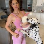 Amanda Cerny Instagram - I guess this is what I get for being a full grown adult buying myself stuffed animals 🫡🪦🧸