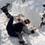 Amanda Cerny Instagram - I read your comments & The racetrack has now been expanded! 🎉Falco🐾 ,Vienna🐾 and my lower back thank you 😣❄️😂💙 #snow #maze #snowmaze #dogs #dalmatians #colorado #funny #cute #snowday #winter #pets Breckenridge, Colorado