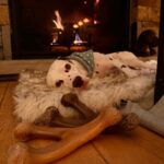 Amanda Cerny Instagram - This vacation is one for the books! Thank you @airbnb 🏠❄️ The home was somehow even better than the photos!! Felt like I packed up and moved to snowy Colorado, my pups were pleasantly confused😂😍🥰 #Breckenridge #Colorado WHERE TO NEXT?! 🤔 Breckenridge, Colorado