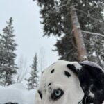 Amanda Cerny Instagram - Florida has entered the chat 🗻🐾 🥶 Breckenridge, Colorado