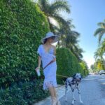 Amanda Cerny Instagram – Drop everything and enjoy the Florida weather kinda day🥰 life is short. Remember to really enjoy it , pet a pup, and spread love and kindness wherever you go.