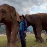Amber Midthunder Instagram - Last month I got to visit @elephantnaturepark with my family and I truly cannot express how grateful I am to have been welcomed in by @lek_chailert and everyone there and to see all the amazing things being done by this place and these people to protect these beautiful beings 🤎✨ Elephant Nature Park