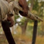 Amoghavarsha Instagram - On this world ranger day, we celebrate our forest foot soldiers who protect our air, water and land! #worldrangerday